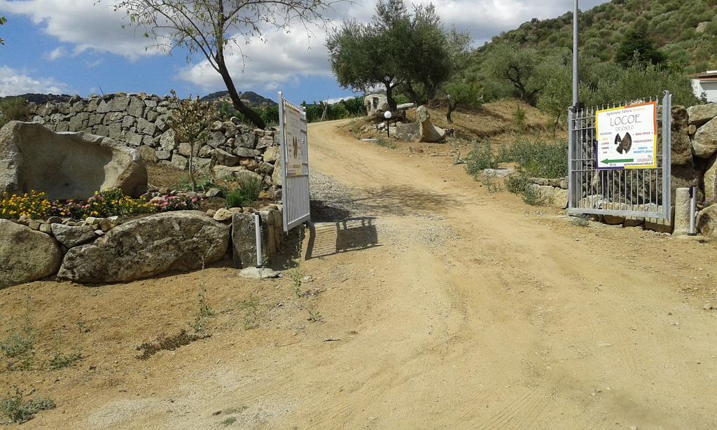 Agriturismo Locoe Oliena Eksteriør bilde