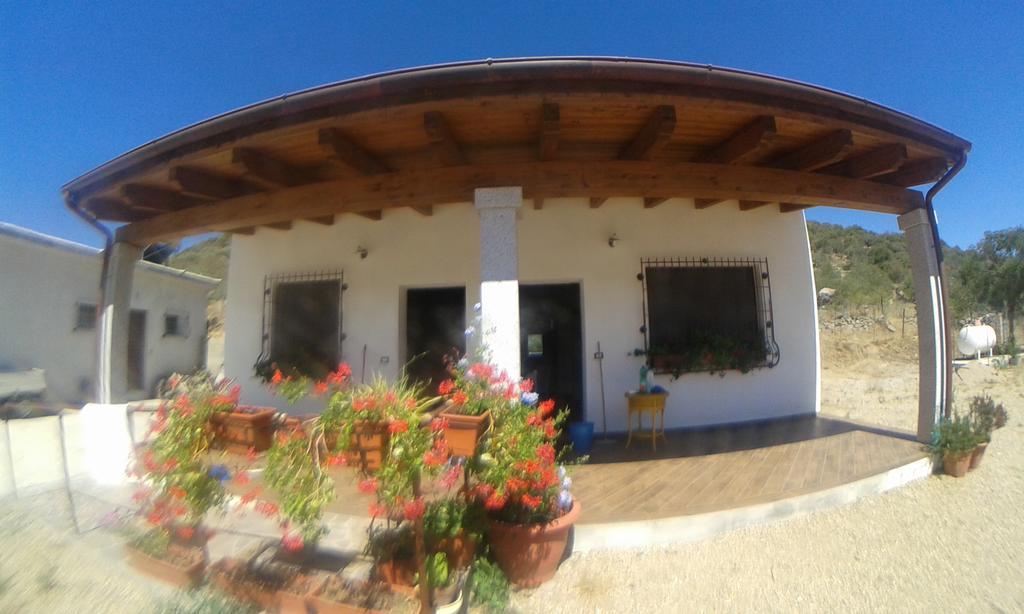 Agriturismo Locoe Oliena Eksteriør bilde