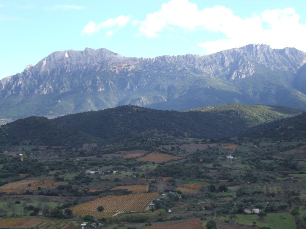 Agriturismo Locoe Oliena Eksteriør bilde